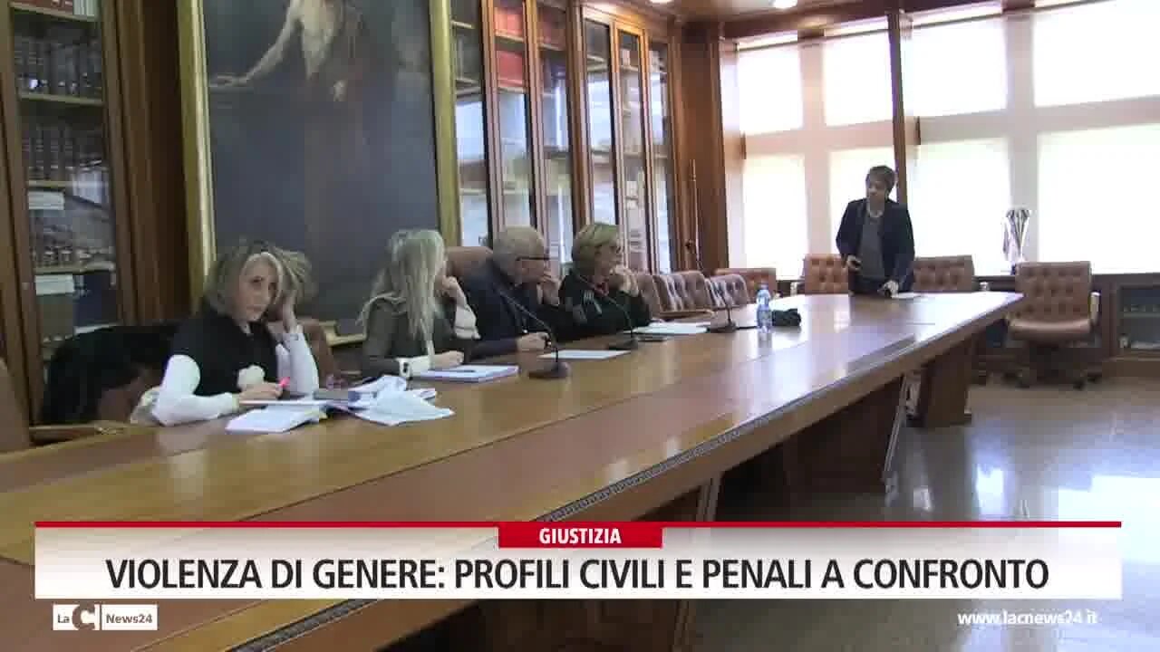 Violenza Di Genere Profili Civili E Penali A Confronto Video LaC News24