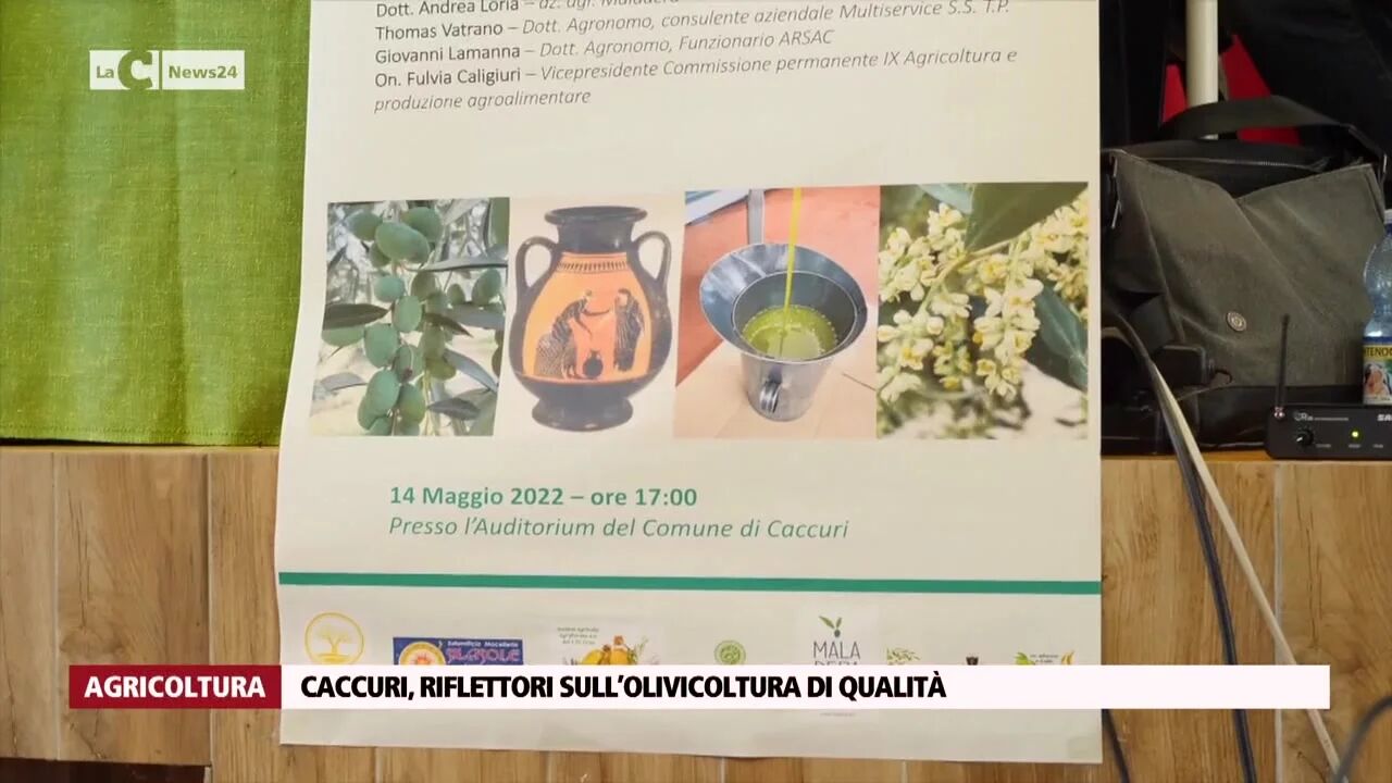 Caccuri, riflettori sull’olivicoltura di qualità