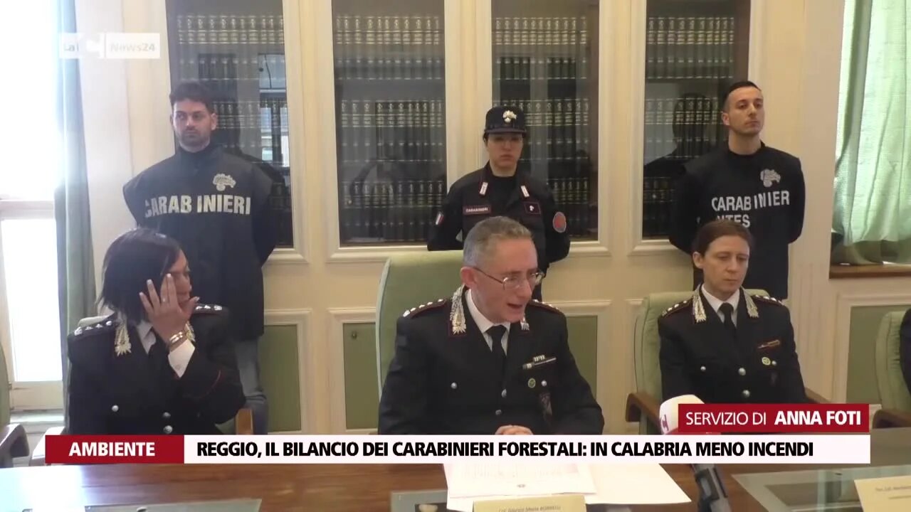 Reggio, il bilancio dei Carabinieri Forestali: in Calabria meno incendi