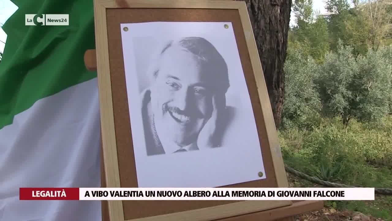 A Vibo Valentia un nuovo albero alla memoria di Giovanni Falcone