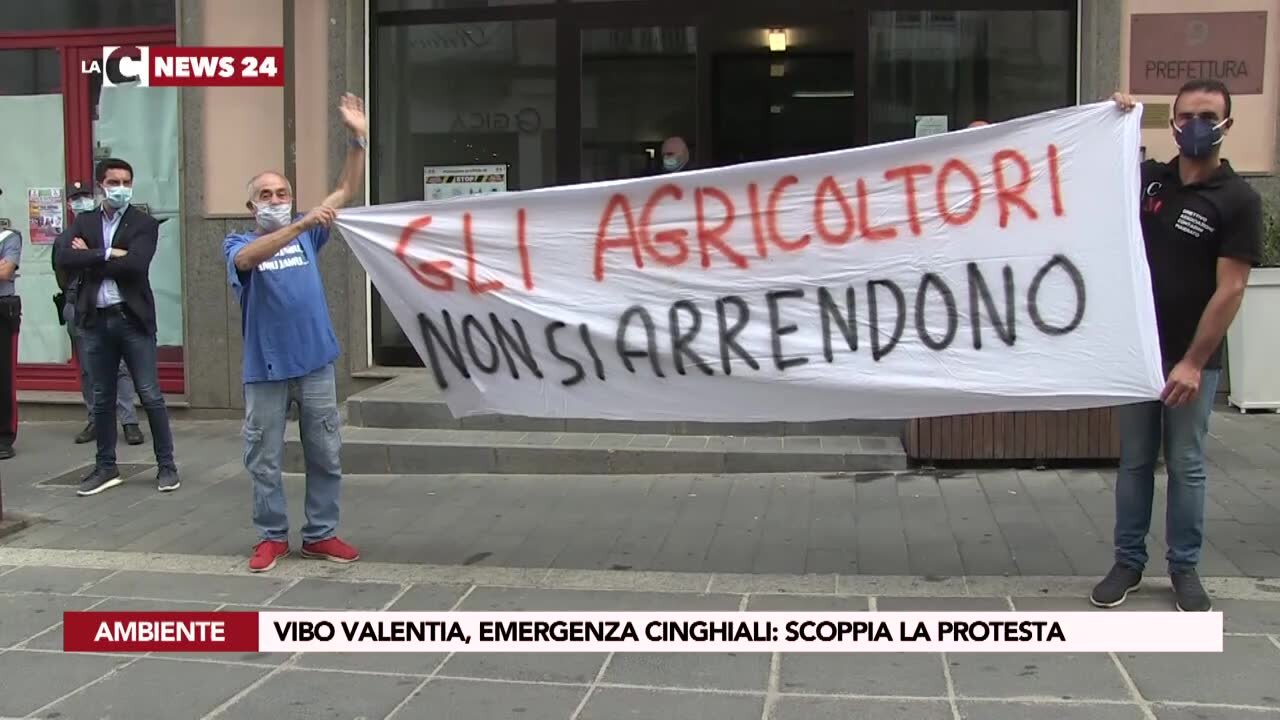 Vibo Valentia, emergenza cinghiali: scoppia la protesta