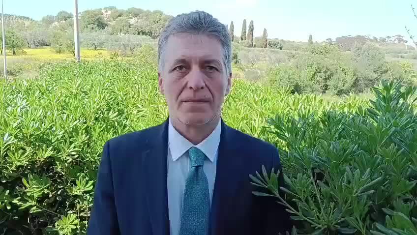 Dazi USA, quali soluzioni per la Calabria? Aldo Ferrara: «Cercare nuovi mercati» | VIDEO