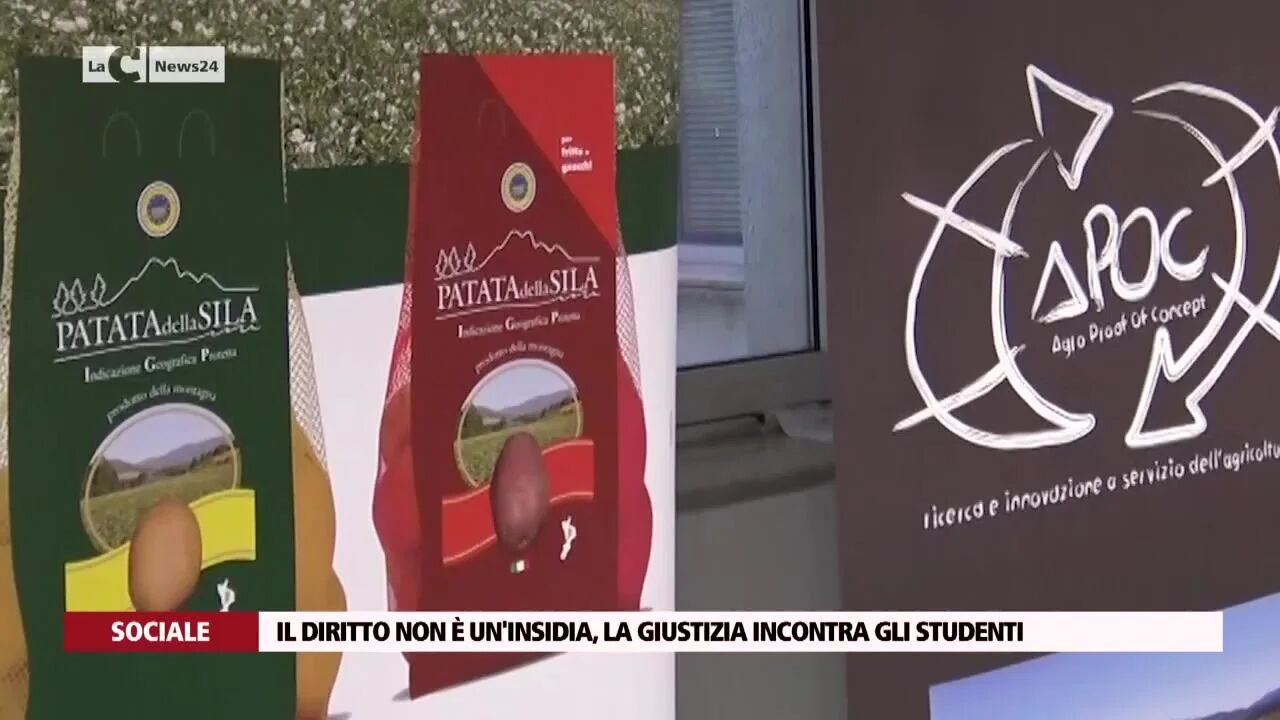 Barrette vegane dagli scarti delle patate: il progetto Unical