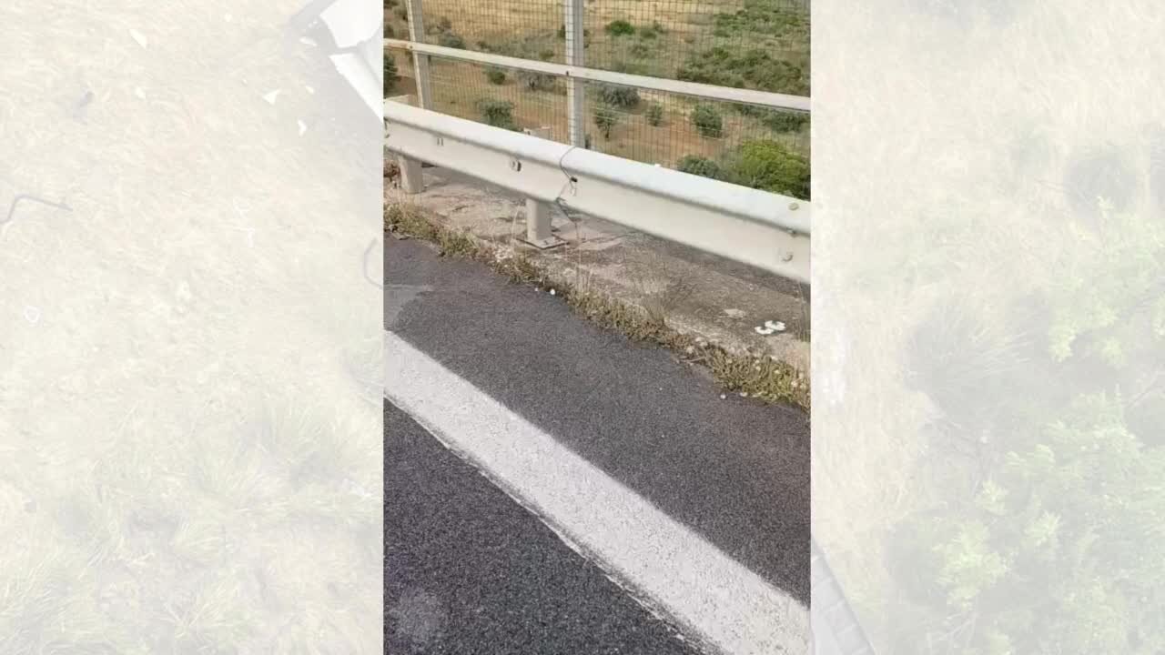 A2 Mediterraneo, precipitano dal viadotto Salso ma rimangono miracolosamente illesi | VIDEO