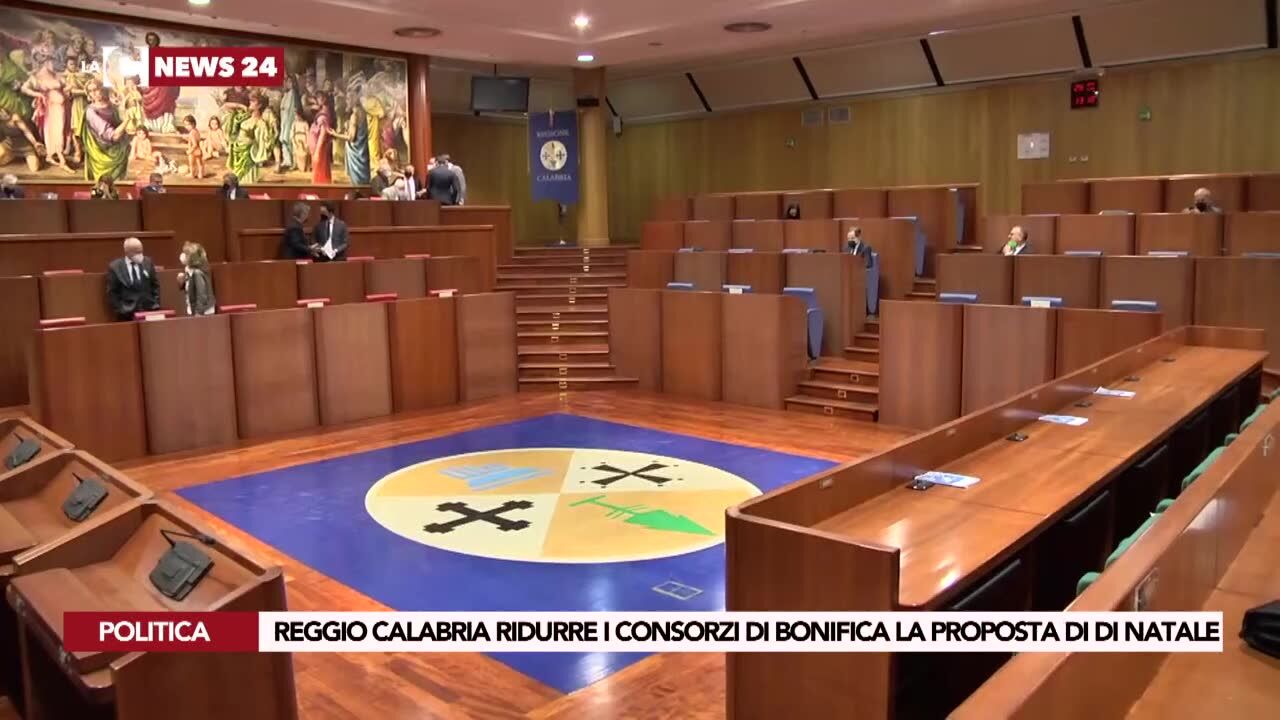 Reggio Calabria ridurre i consorzi di bonifica la proposta di Di Natale