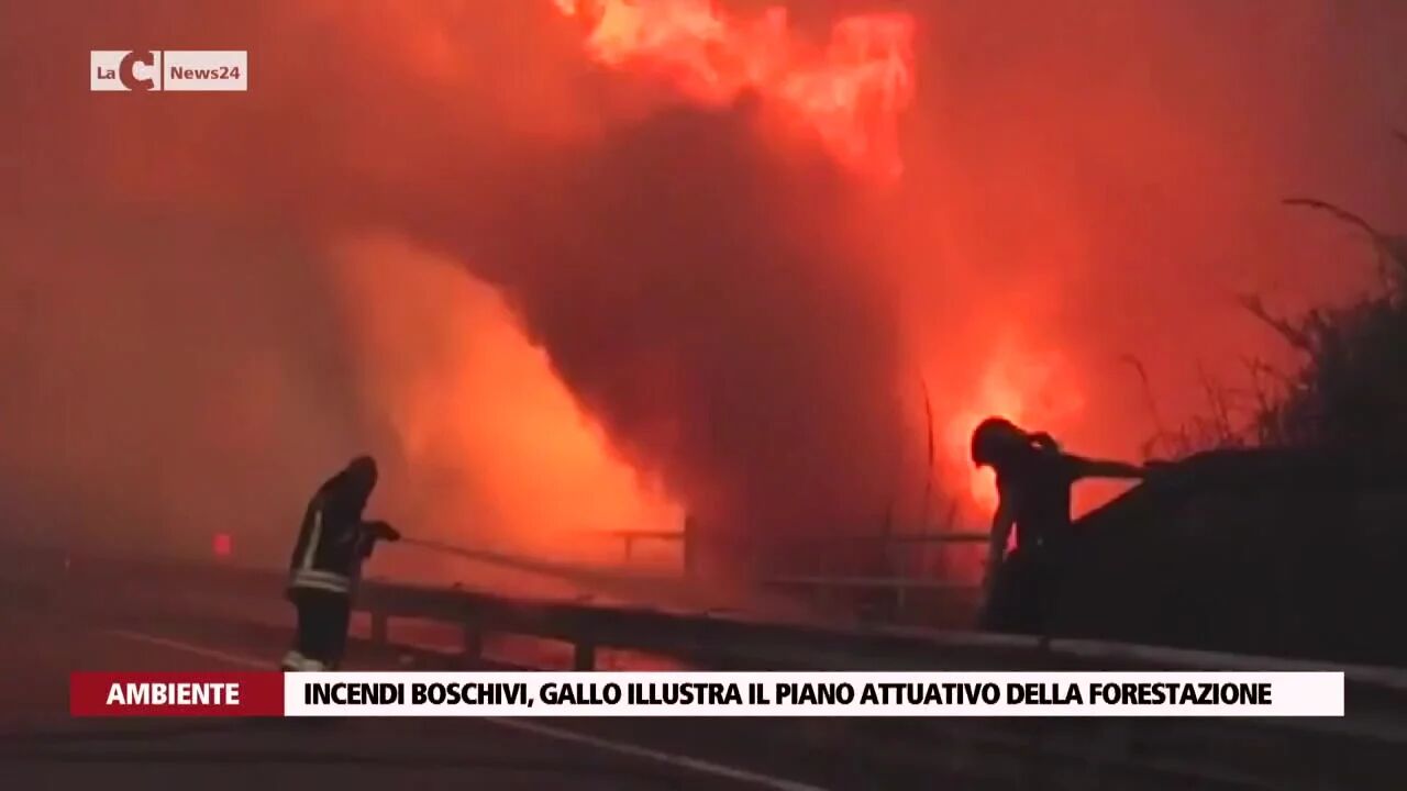 Incendi boschivi, Gallo illustra il piano attuativo della forestazione