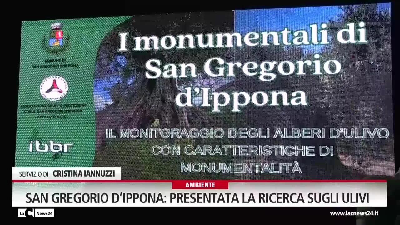 San Gregorio D’Ippona: presentata la ricerca sugli ulivi