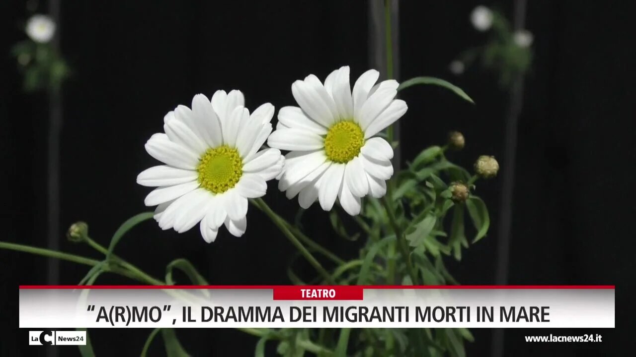 Reggio, il cimitero dei migranti di A(r)mo in teatro: sul palco il dramma e la speranza di chi non arriva e di chi non ritorna