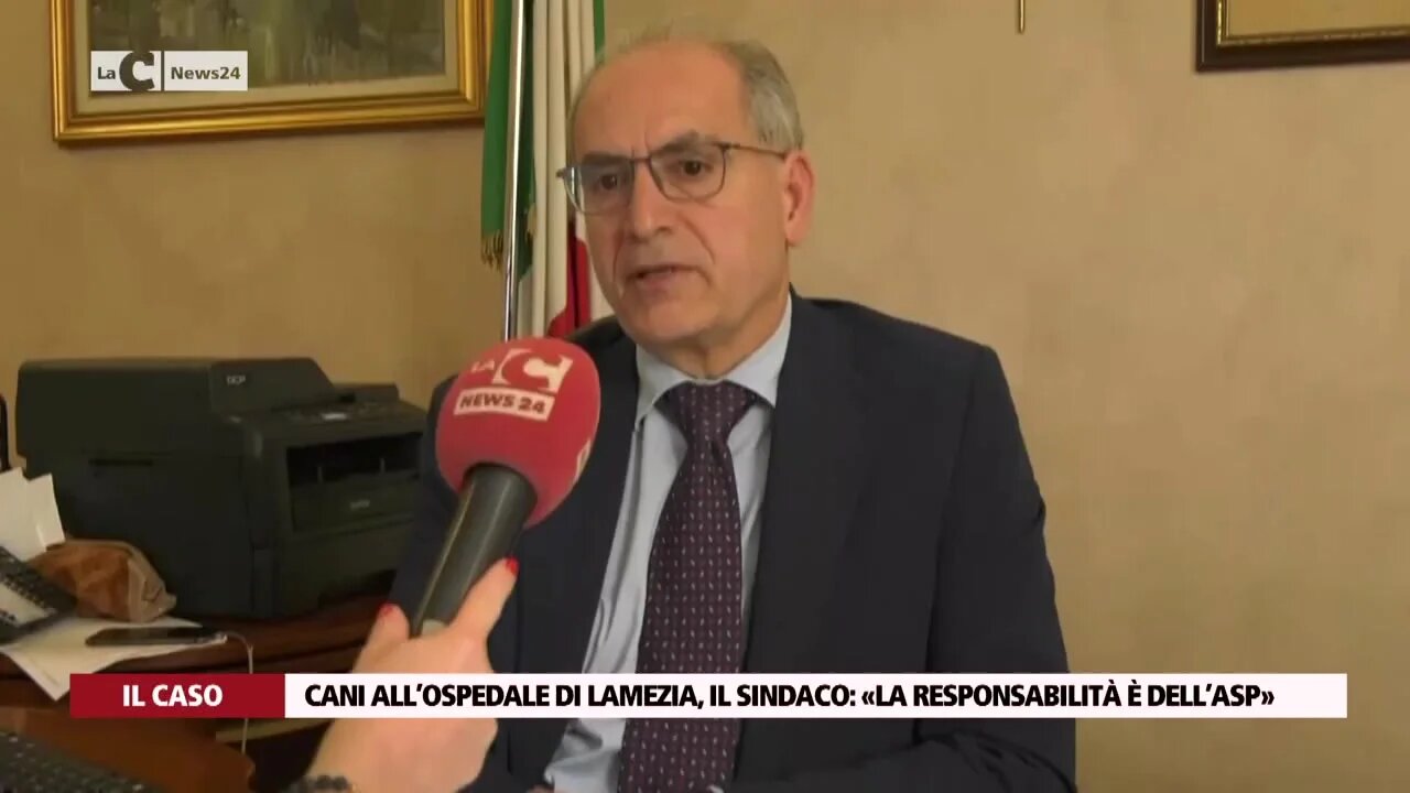 Cani all’ospedale di Lamezia, il sindaco: «La responsabilità è dell’Asp»