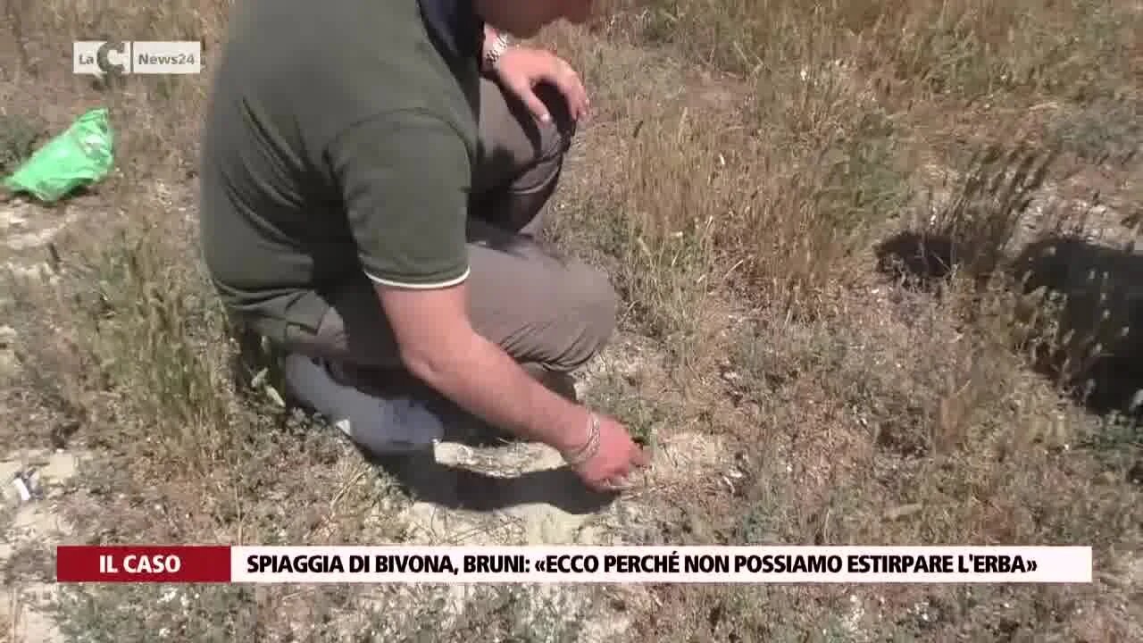 Spiaggia di Bivona, Bruni: «Ecco perché non possiamo estirpare l'erba»