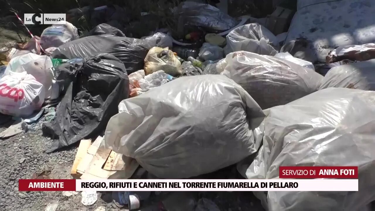 Reggio, rifiuti e canneti nel torrente Fiumarella di Pellaro