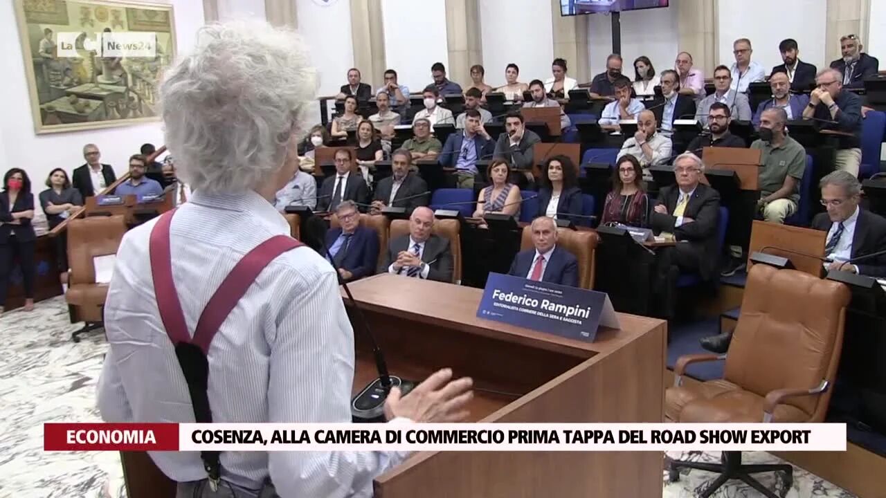 Cosenza, alla Camera di Commercio prima tappa del Road Show Export