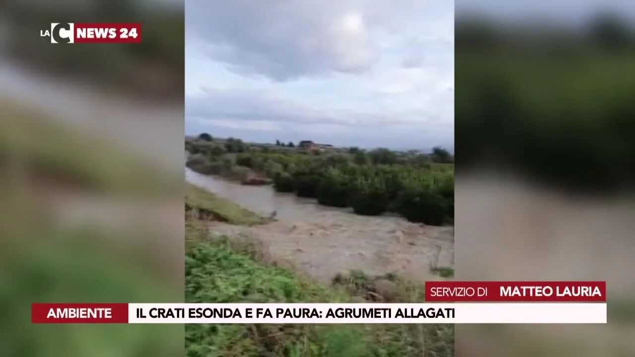 Il Crati esonda e fa paura: agrumeti allagati