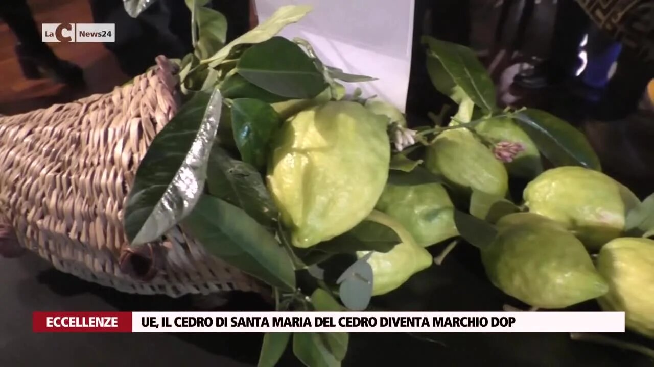 UE, il Cedro di Santa Maria del Cedro diventa marchio Dop