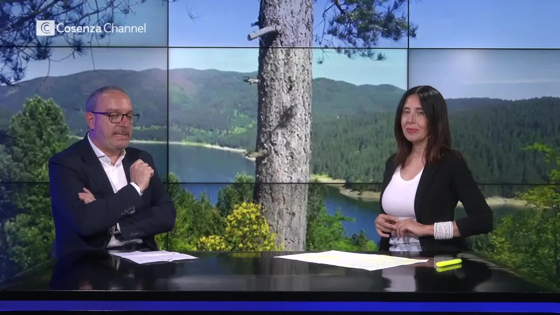 Parco nazionale della Sila, Bloise: «I resti dell'Elefante preistorico presto torneranno a casa» | VIDEO