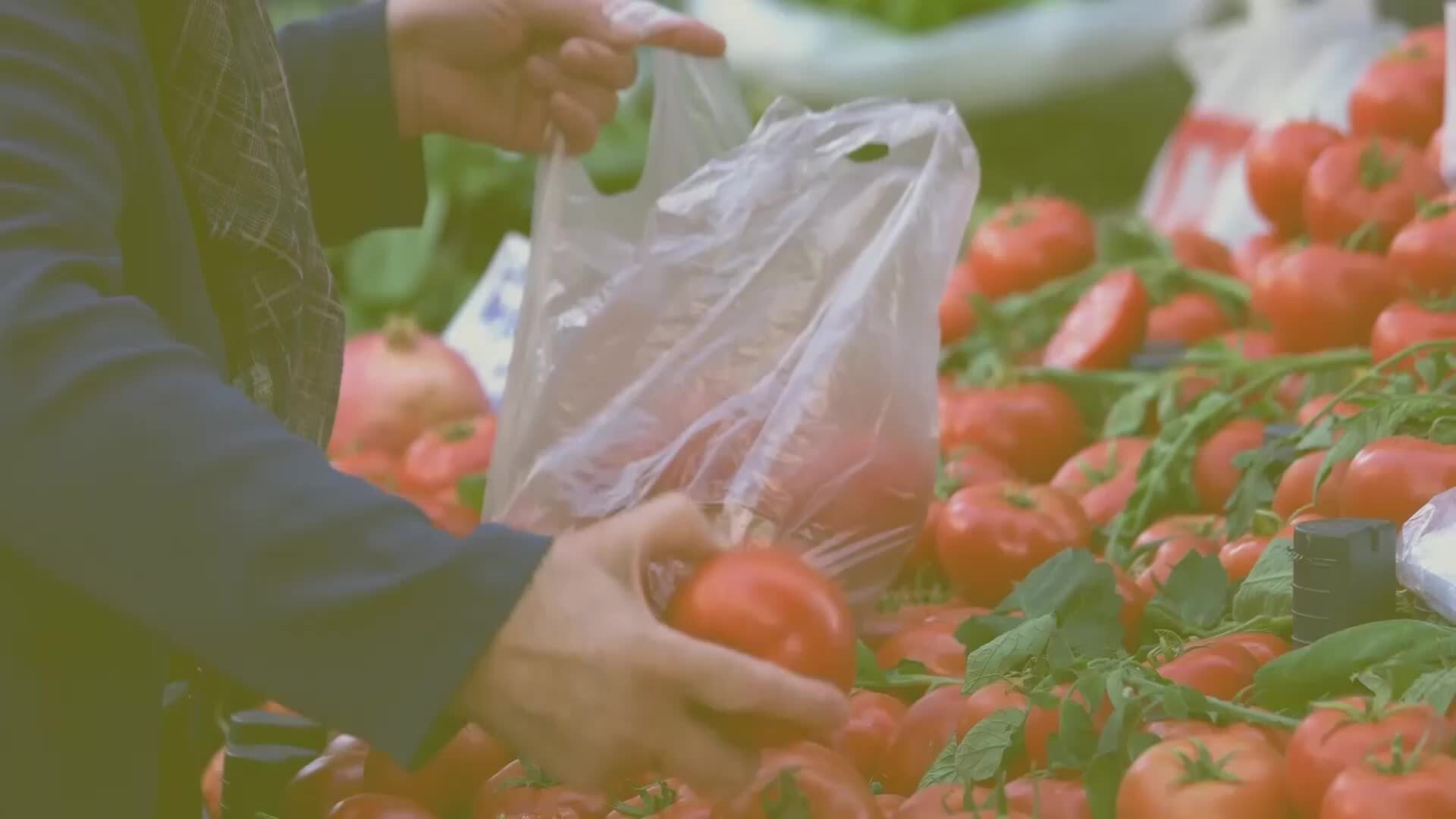 Il Carrello della spesa - Un salto al mercato di Cosenza