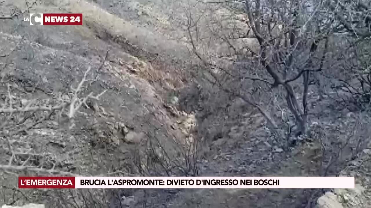 Brucia l'Aspromonte: divieto d'ingresso nei boschi