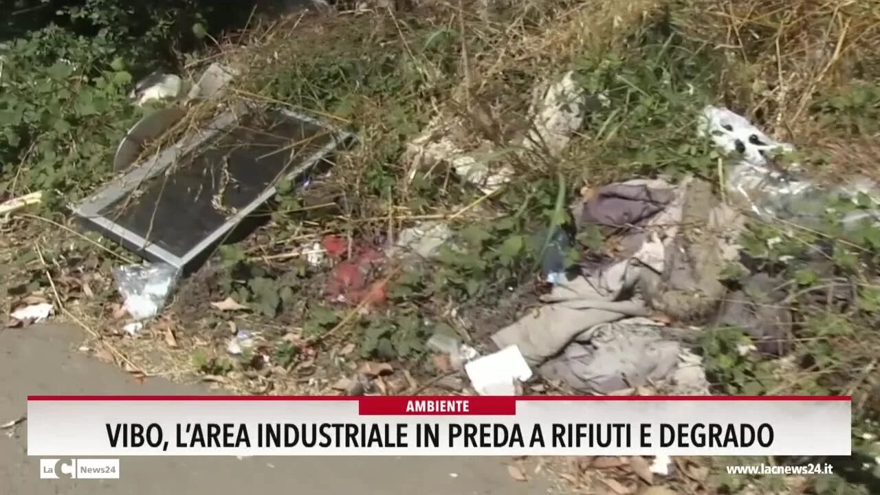 Vibo l area industriale in preda a rifiuti e degrado