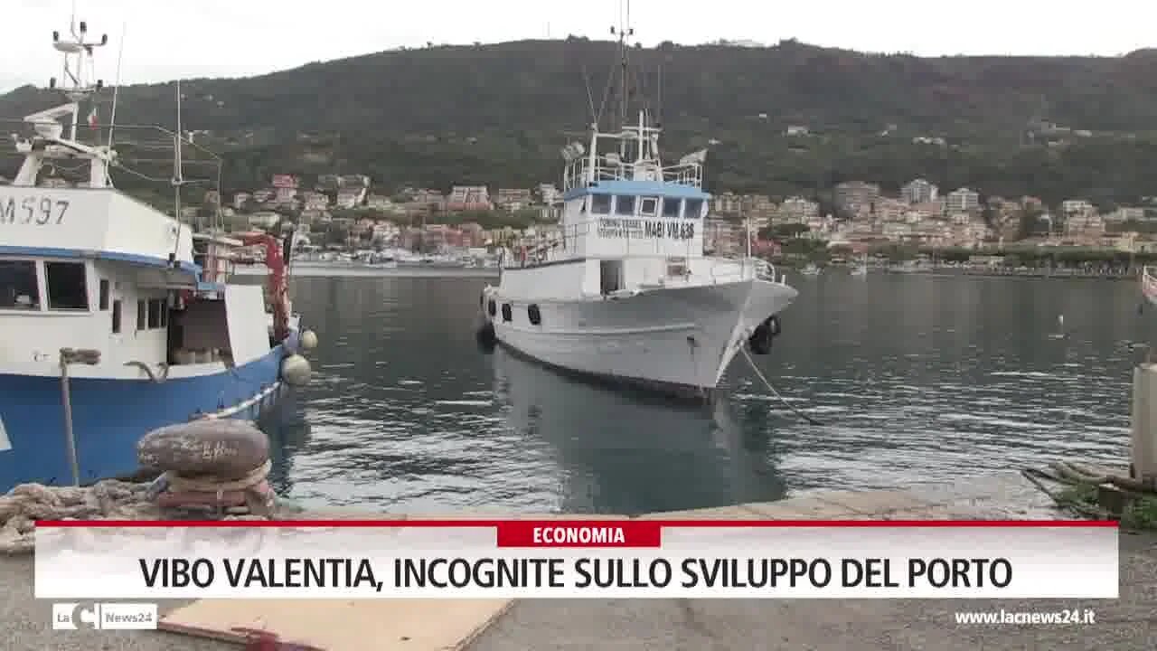 Vibo Valentia, incognite sullo sviluppo del porto