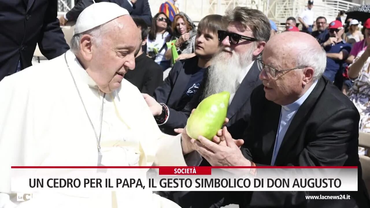 Un cedro per il papa, il gesto simbolico di Don Augusto