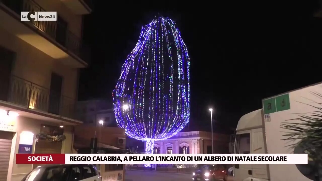 Reggio Calabria, a Pellaro l’incanto di un albero di Natale secolare