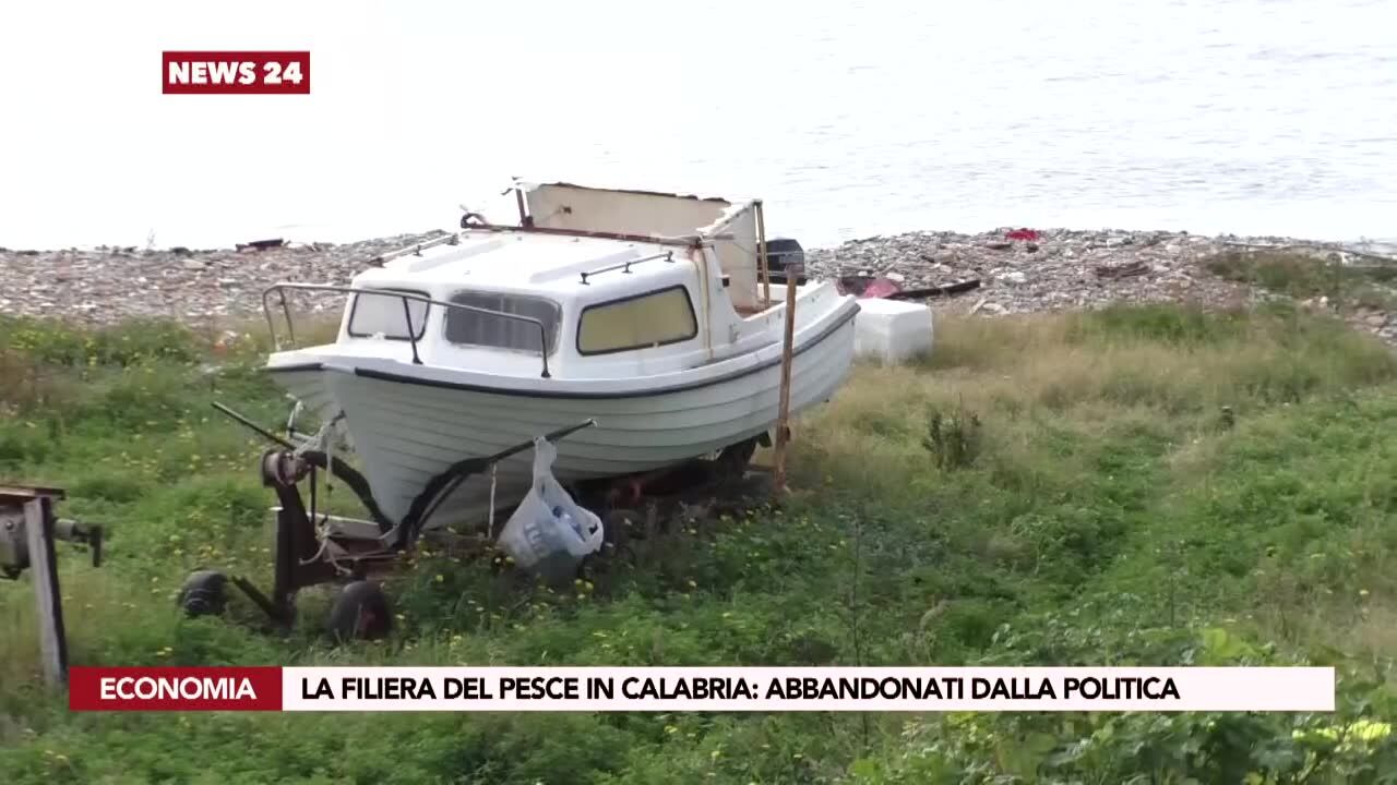 La filiera del pesce in Calabria: abbandonati dalla politica