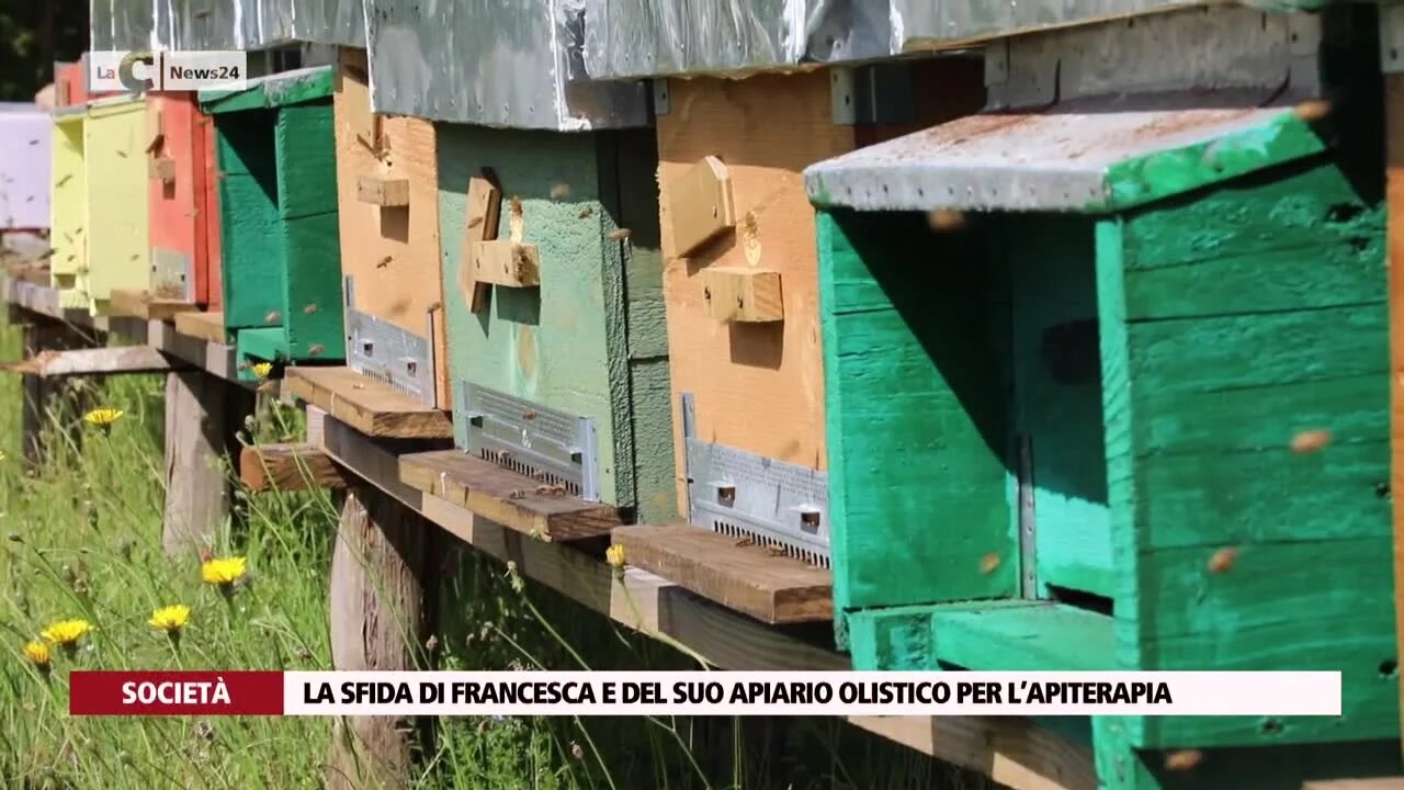 Dalla passione di Francesca nasce nel Vibonese il primo apiario olistico in Calabria