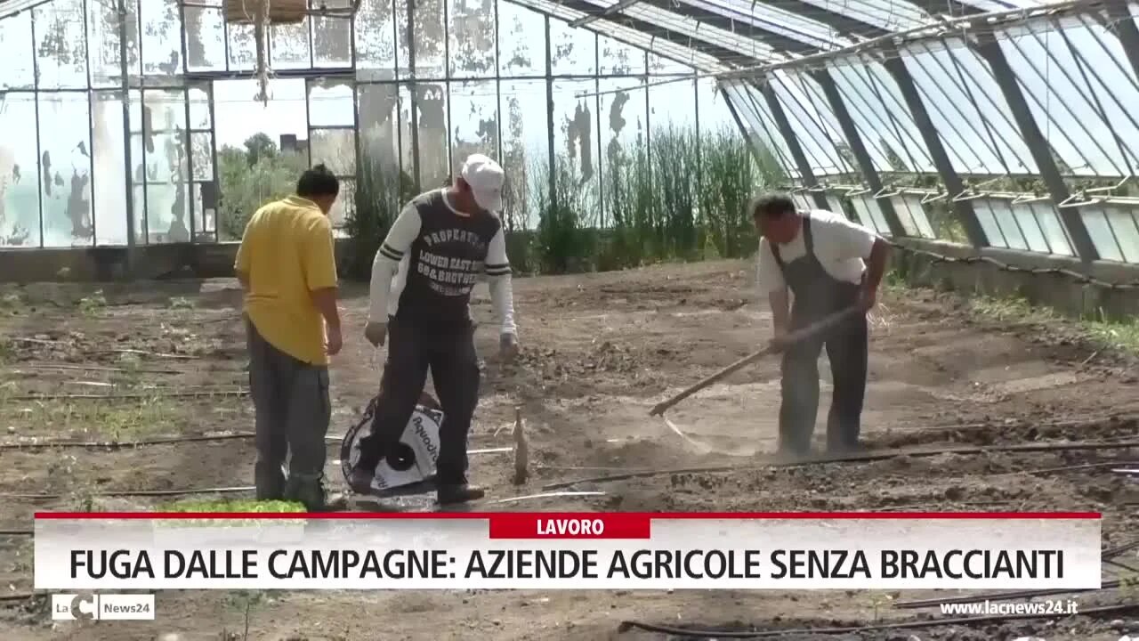 Fuga dalle campagne aziende agricole senza braccianti