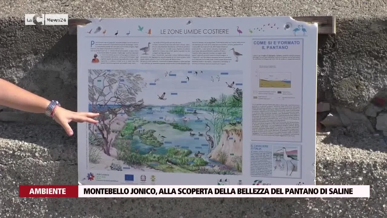 Montebello Jonico, alla scoperta della bellezza del Pantano di Saline