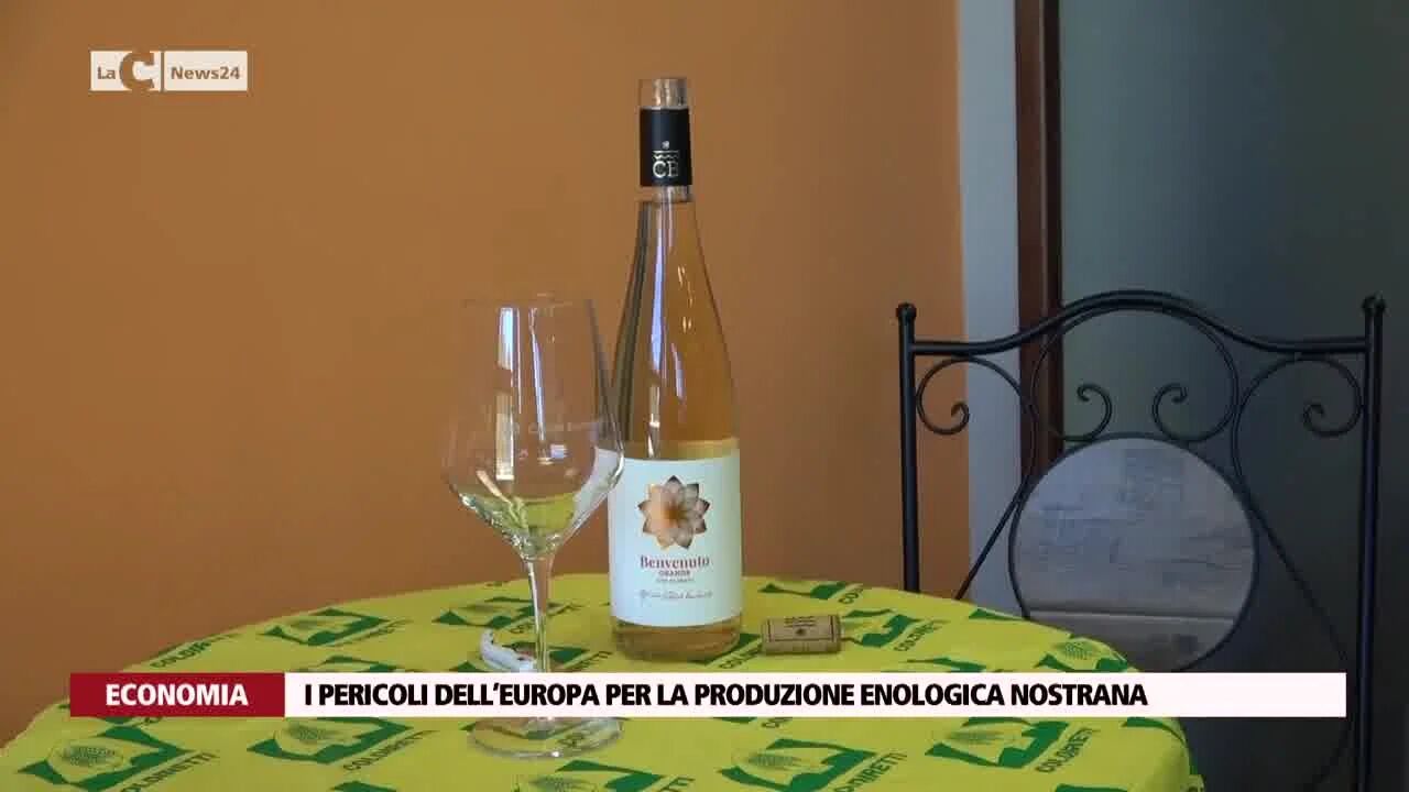 I pericoli dell’Europa per la produzione enologica nostrana