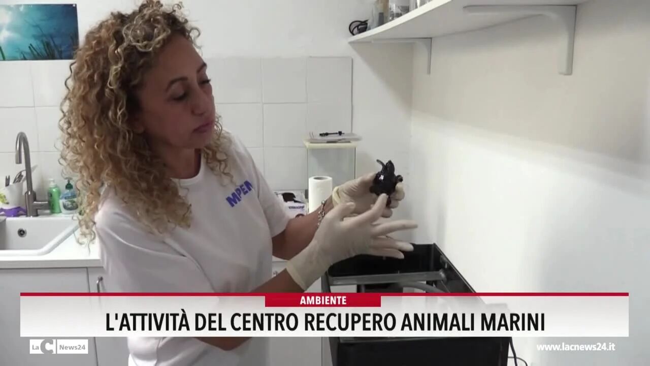 L'attività del centro recupero animali marini