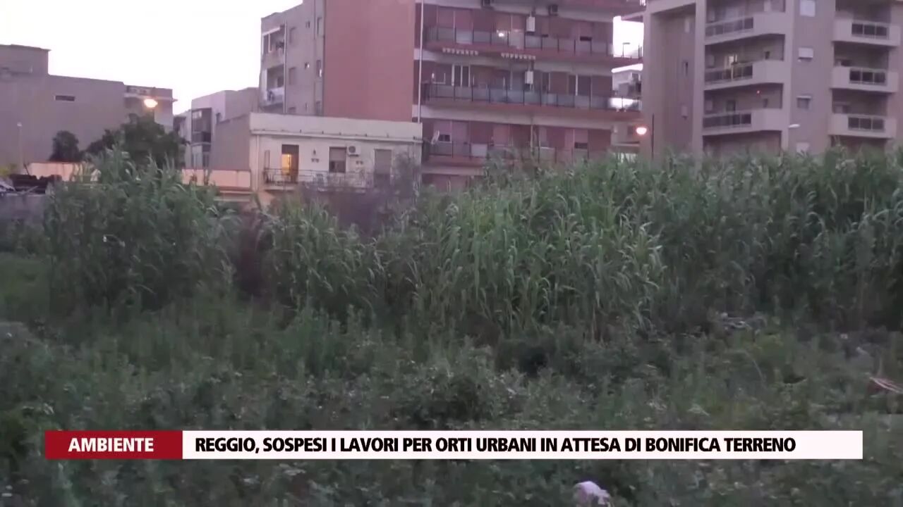 Reggio, sospesi i lavori per orti urbani in attesa di bonifica terreno