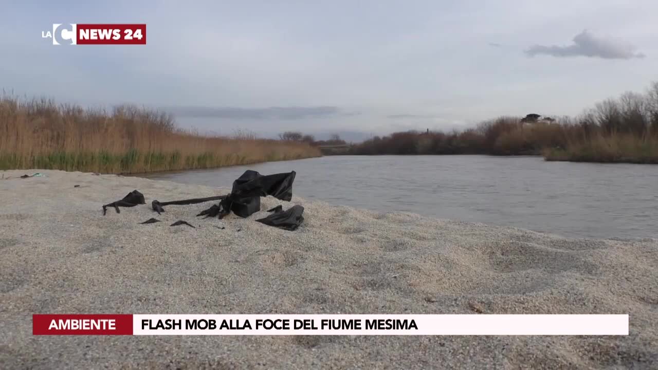 Flash mob alla foce del fiume Mesima