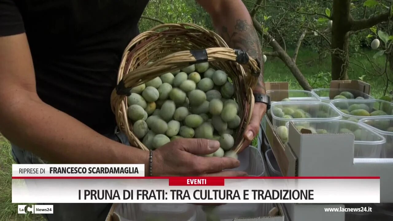 Arsac e biodiversità, i “Pruna di Frati” celebrate a Terranova Sappo Minulio