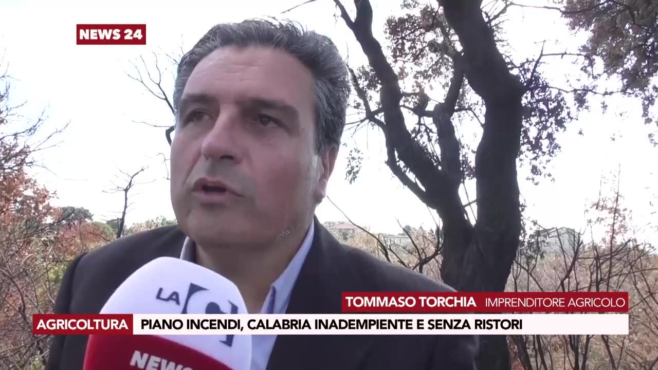 Piano incendi, Calabria inadempiente e senza ristori