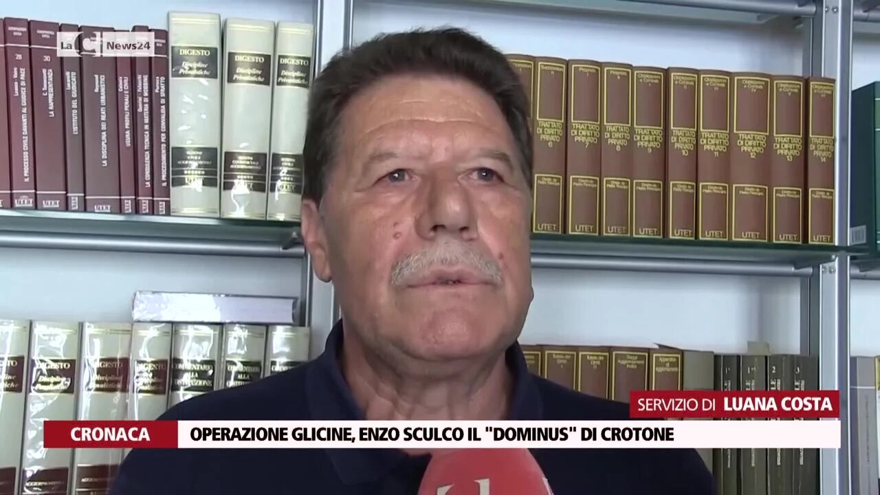 Operazione glicine, Enzo Sculco il Dominus di Crotone