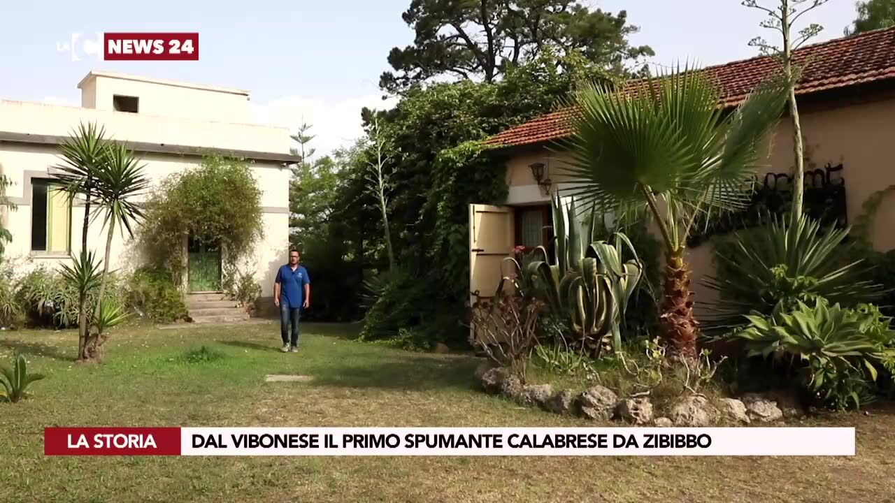 Dal Vibonese il primo spumante calabrese da zibibbo