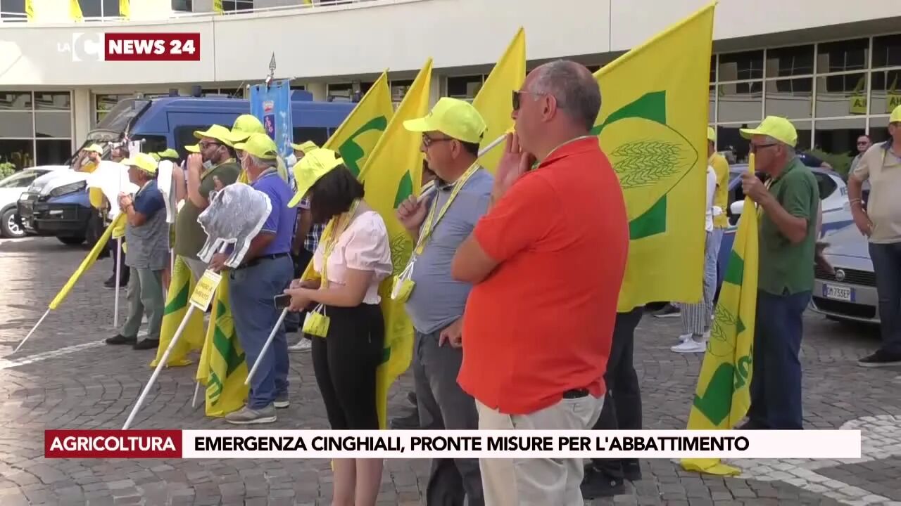 Emergenza cinghiali, pronte misure per l'abbattimento
