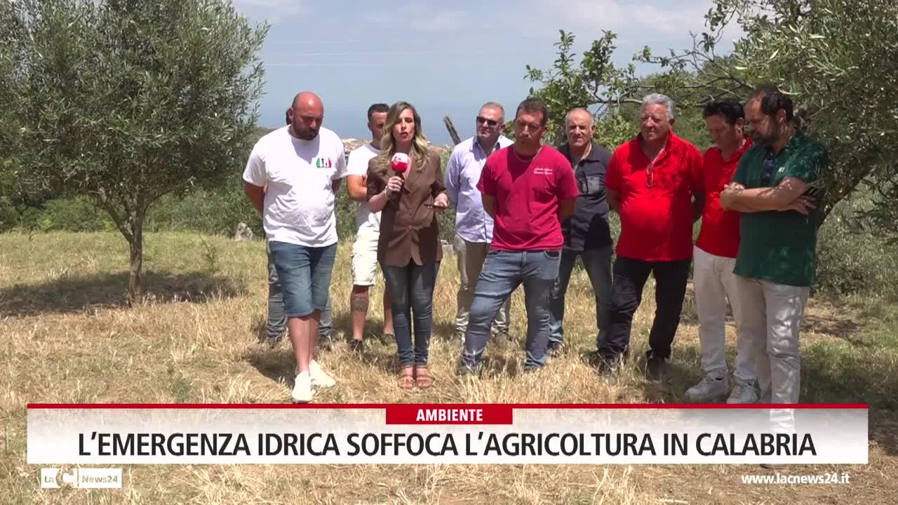 L’emergenza idrica soffoca l’agricoltura in Calabria