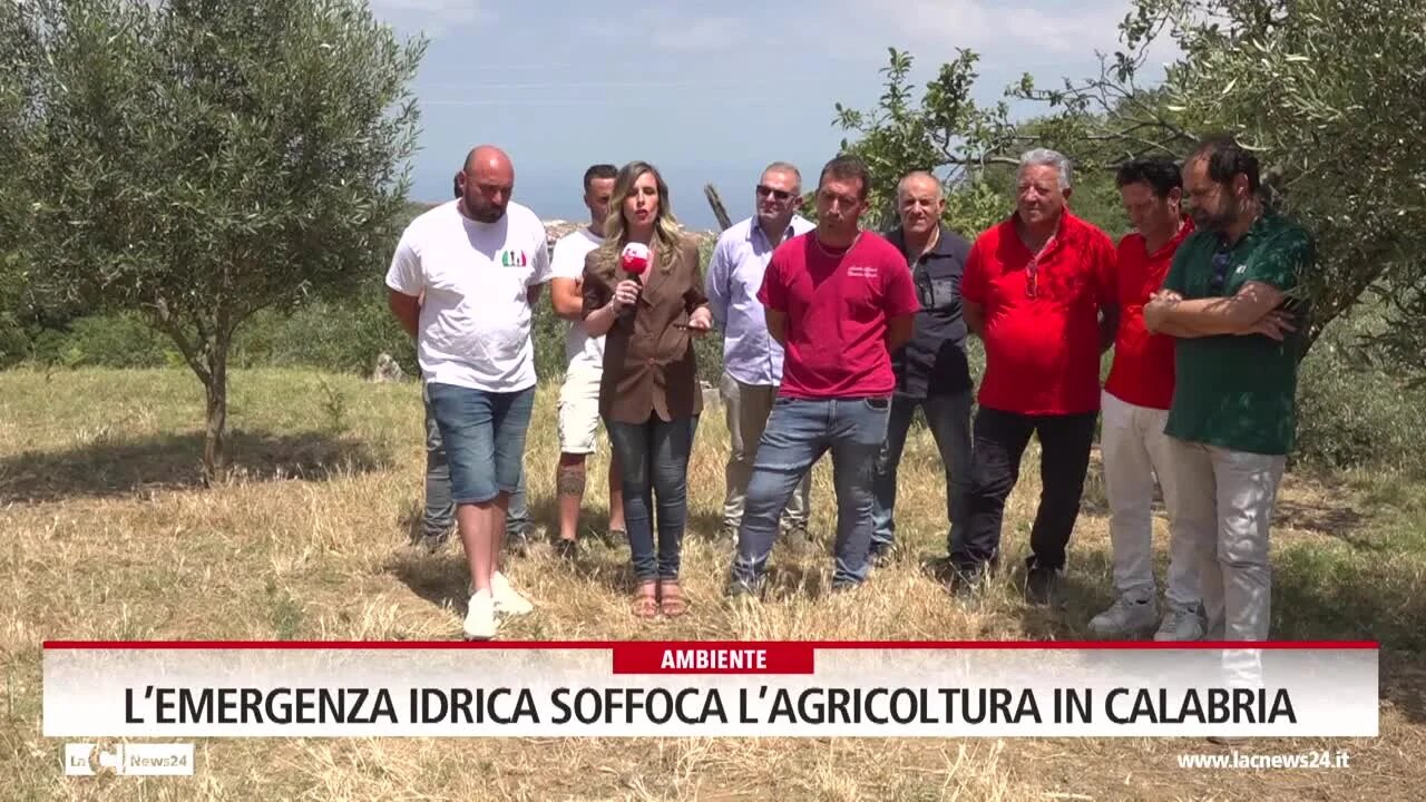 L’emergenza idrica soffoca l’agricoltura in Calabria