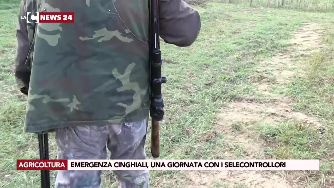 Emergenza cinghiali, una giornata con i selecontrollori