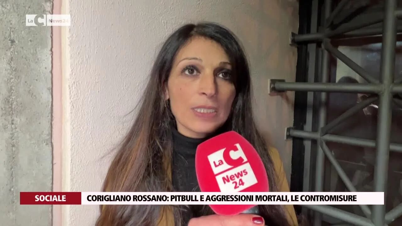Corigliano Rossano: pitbull e aggressioni mortali, le contromisure