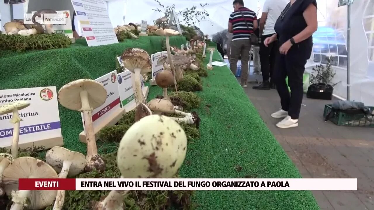 Entra nel vivo il festival del fungo organizzato a Paola