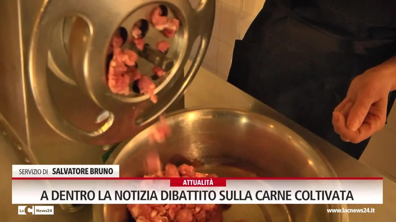 A Dentro la Notizia dibattito sulla carne coltivata