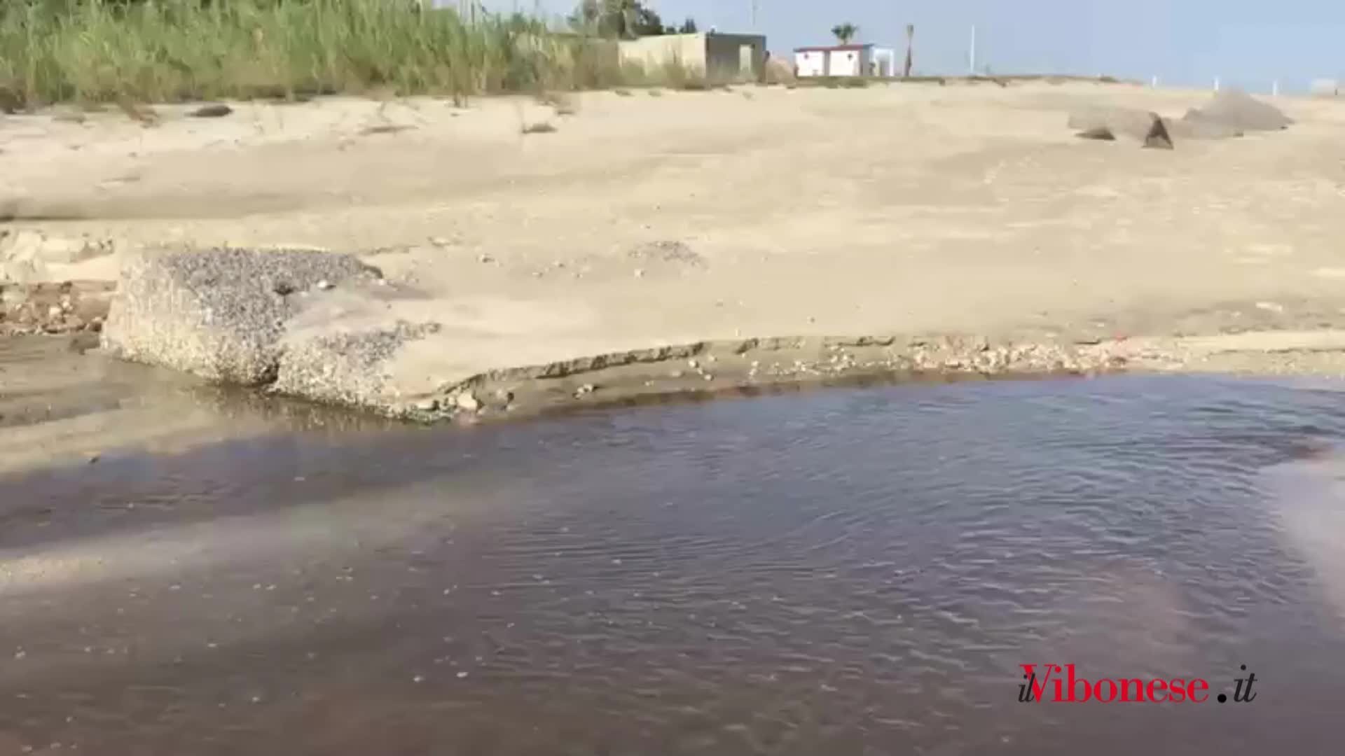 Quel fragrante odore di fogna in una dolce mattina d’ottobre: lo scempio del torrente Sant’Anna non si ferma - VIDEO