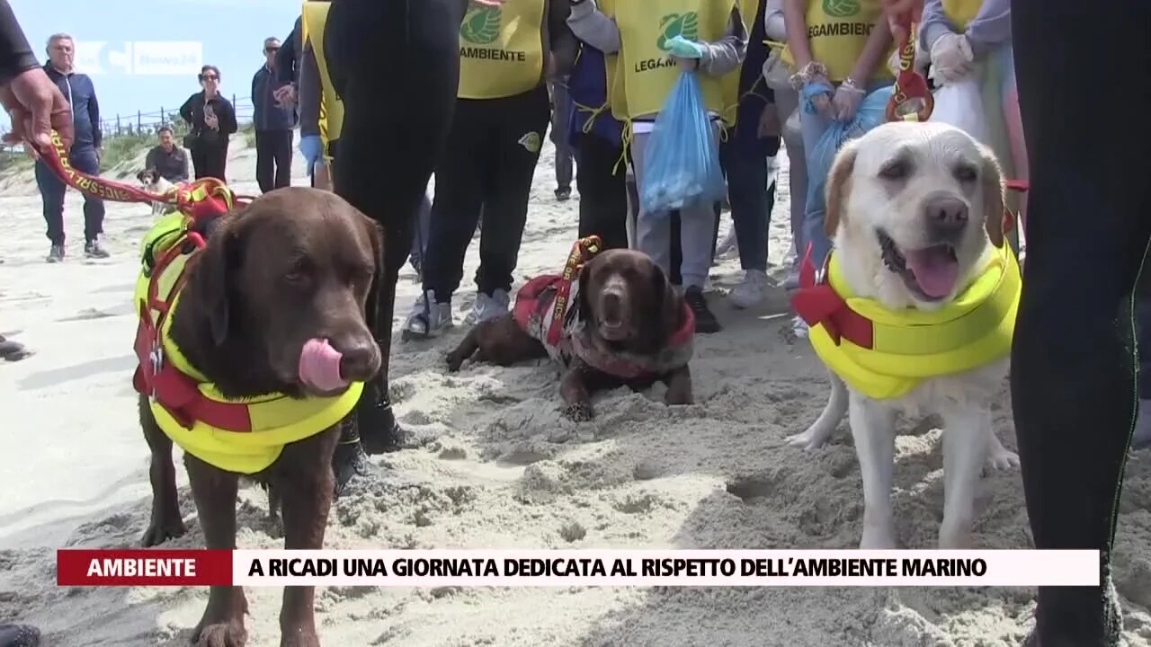 A Ricadi una giornata dedicata al rispetto dell’ambiente marino