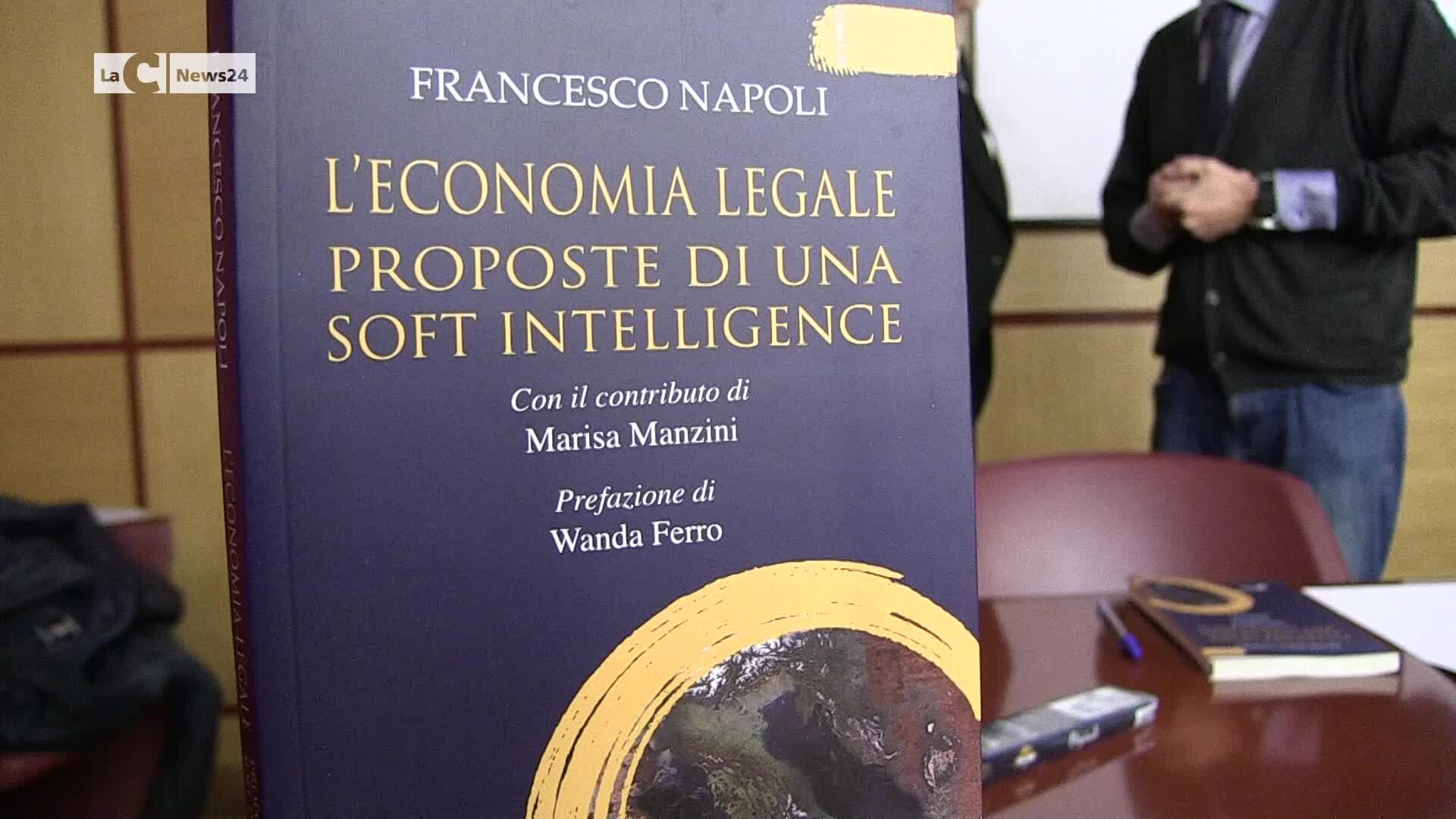 Imprenditoria, il vicepresidente di Confapi Franco Napoli: «C'è sviluppo solo senza criminalità» | VIDEO