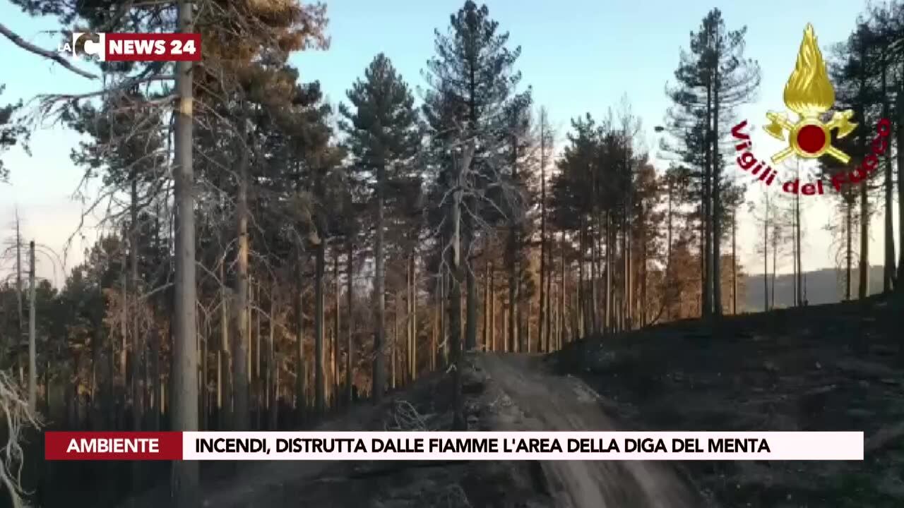 Incendi, distrutta dalle fiamme l'area della diga del Menta
