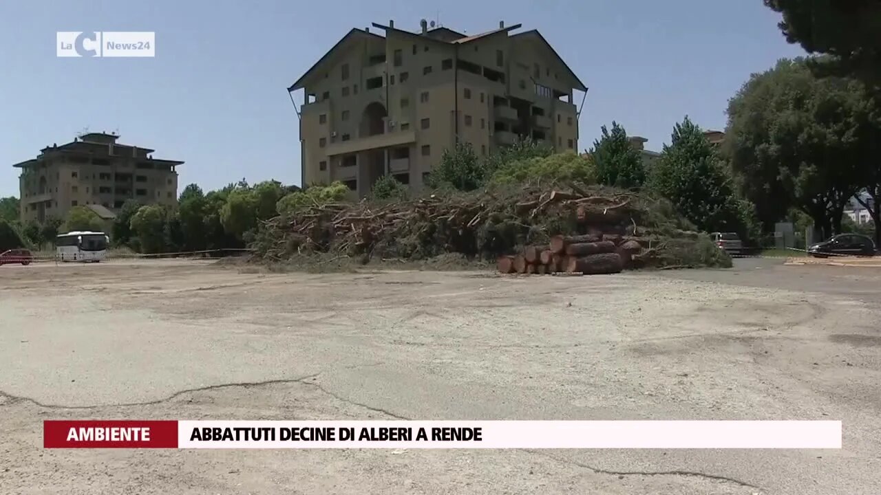 Abbattuti decine di alberi a Rende