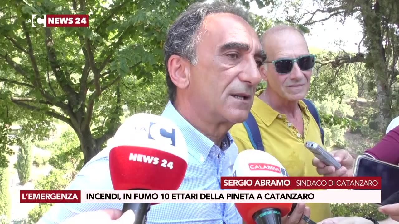 Incendi, in fumo 10 ettari della pineta a Catanzaro